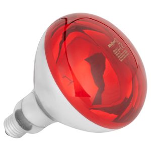 BEC INFRAROSU CRESTERE PUI E27 R125 250W REBEL | wauu.ro