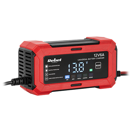 BAT1155 INCARCATOR UNIVERSAL AGM LIFEPO4 2-100AH | wauu.ro