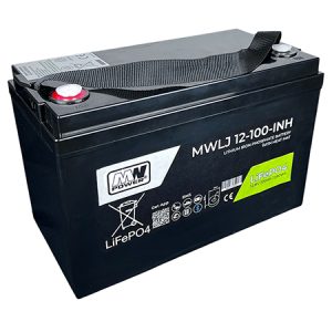 ACUMULATOR LIFEPO4 12.8V 100AH BLUETOOTH | wauu.ro